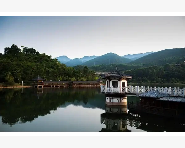 中医科普：探寻具有补血效果的中药