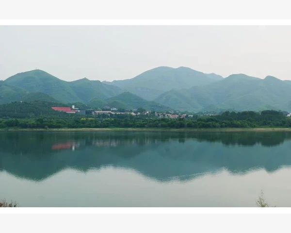 清肺抑火胶囊，健康呼吸之守护者