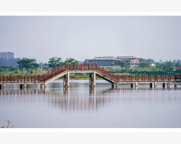夏日湿气重，中药调理身体
