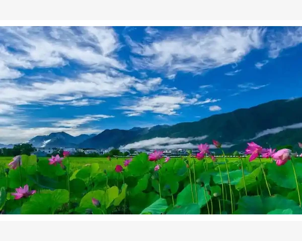 B2B大润发打造企业采购新生态